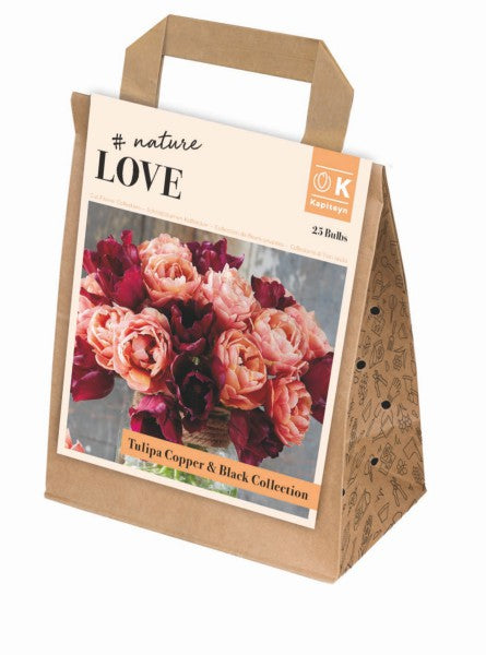 BOUQUET COPPER&BLACK TULIPA COLL x 25
