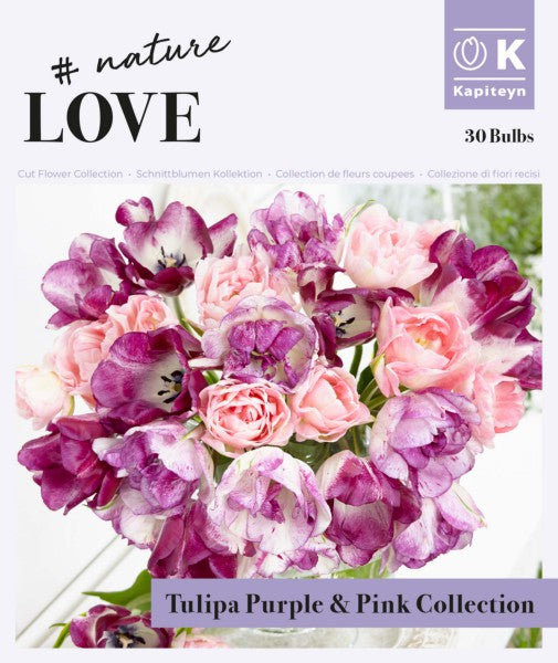 BOUQUET PURPLE&PINK TULIPA COLL x 25