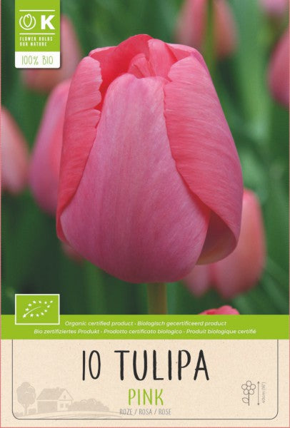 BIO TULIP TRIUMPH PINK x10