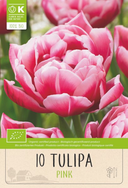 BIO TULIP DOUBLE PINK (COLUMBUS) x 10