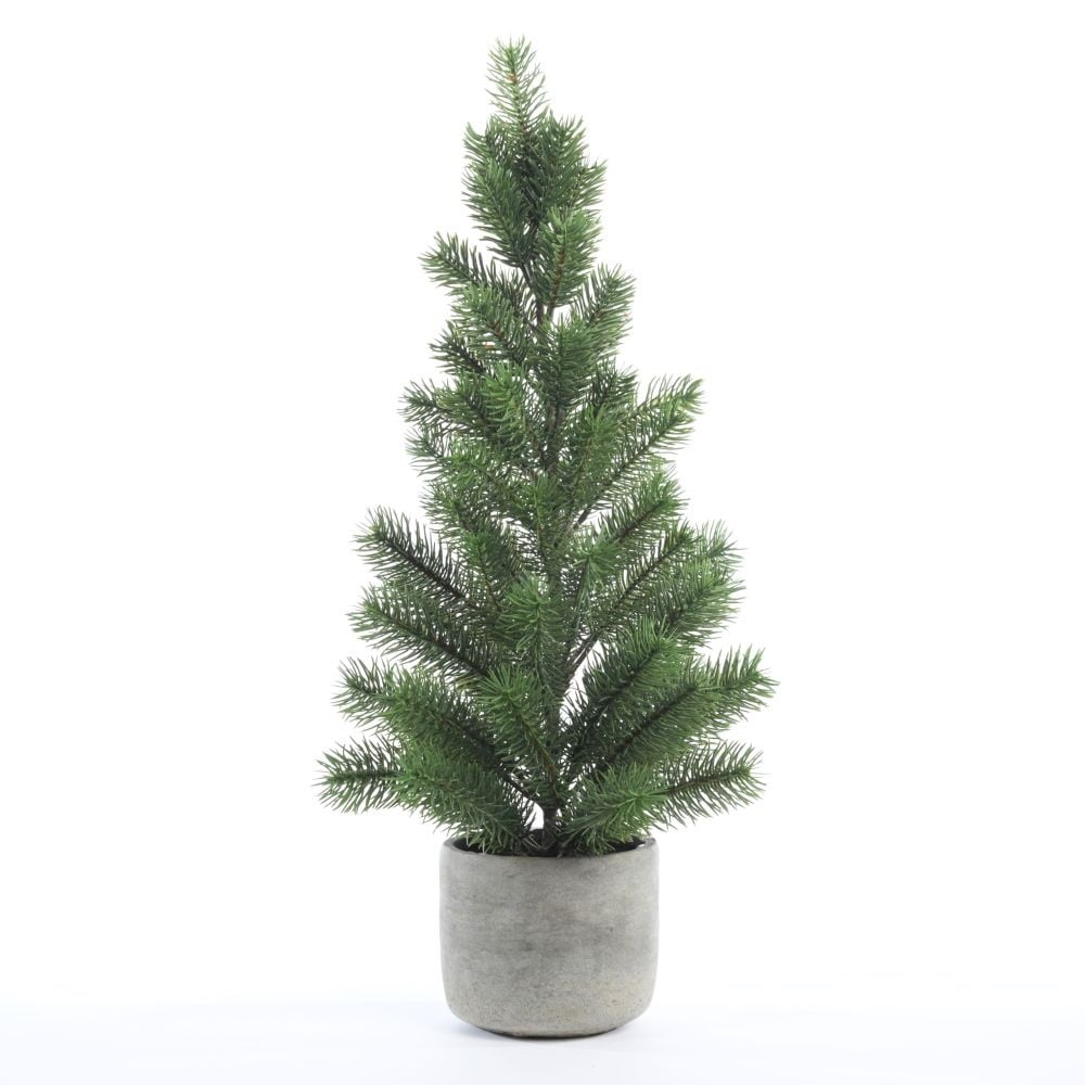 Nobilis in Ceramic Pot H60cm Green