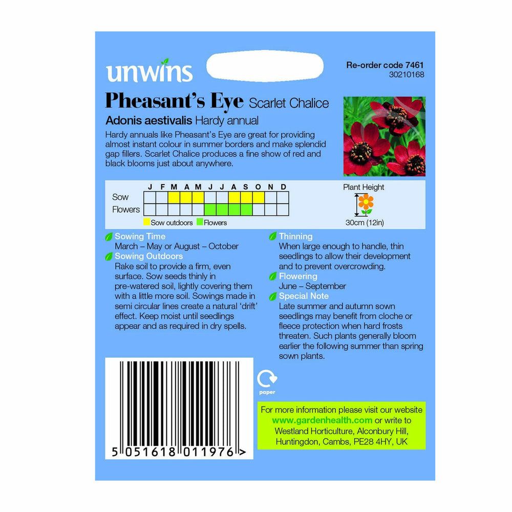 Pheasant S Eye Scarlet Chalice - Seed Packets - Windyridge Garden Centre