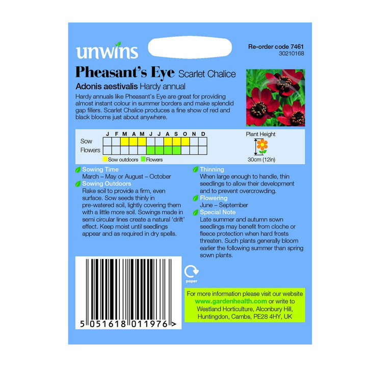 Pheasant S Eye Scarlet Chalice - Seed Packets - Windyridge Garden Centre