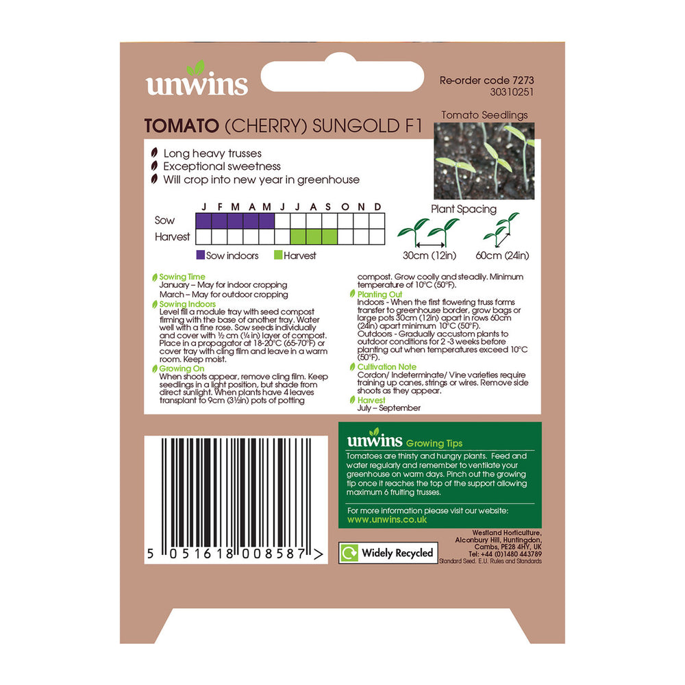 Tomato Sungold F1 - Seed Packets - Windyridge Garden Centre