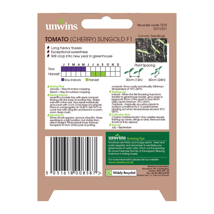 Tomato Sungold F1 - Seed Packets - Windyridge Garden Centre
