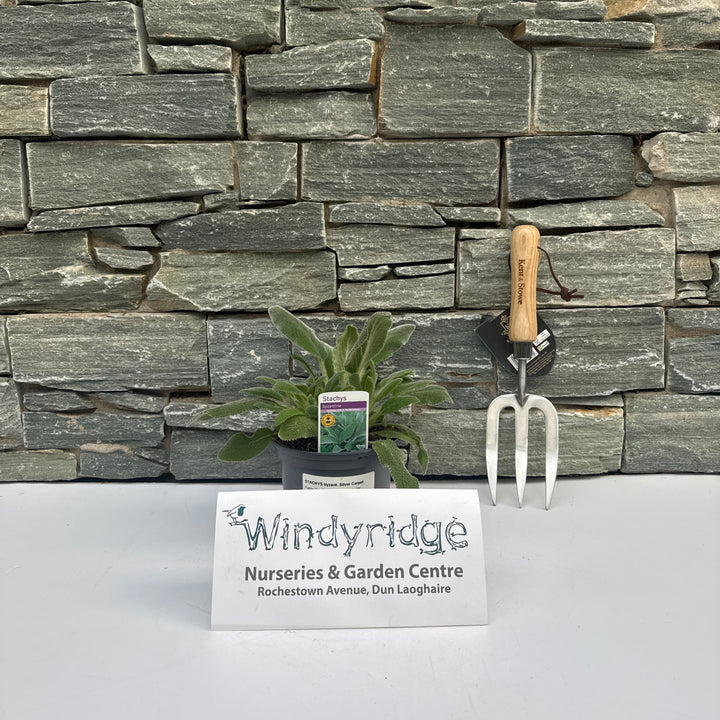 Decorative stone wall with gardening tools and a plant on a white background, featuring Windyridge Nurseries & Garden Centre branding.