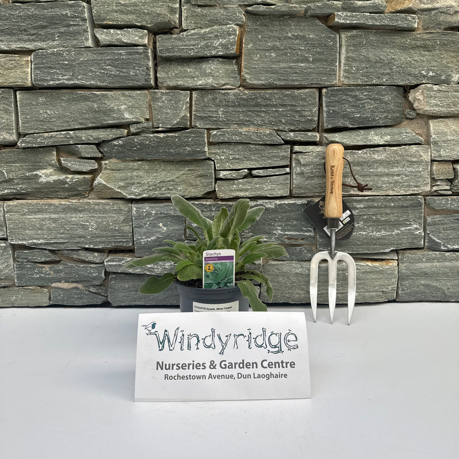 Decorative stone wall with gardening tools and a plant on a white background, featuring Windyridge Nurseries & Garden Centre branding.