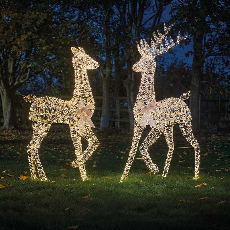 Goldtwist Stag 152cm, Lv