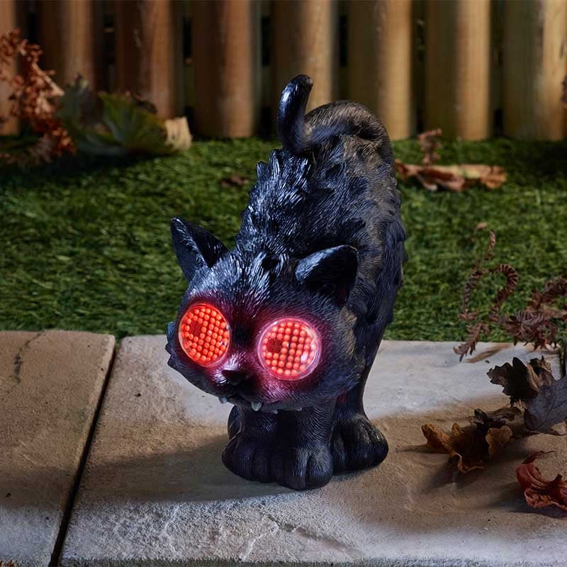 Blinkin' Scaredy Cat