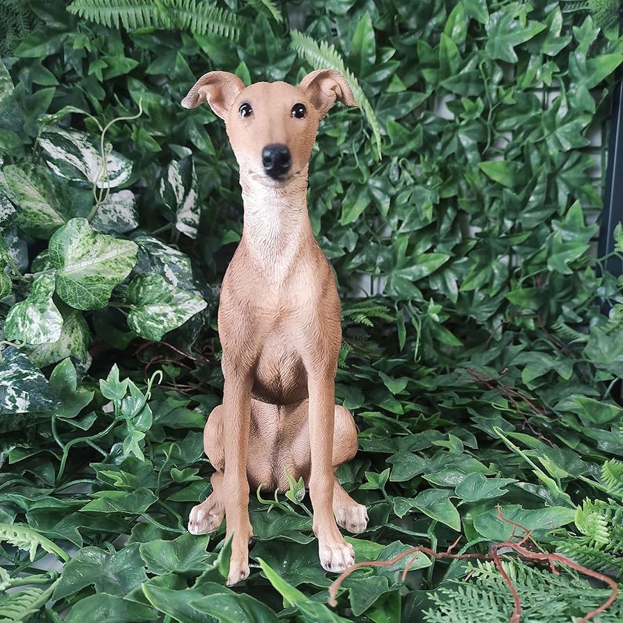 Real Life Whippet D - Ornaments - Windyridge Garden Centre