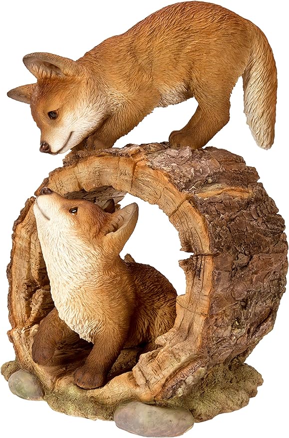 Playful Fox Cubs B