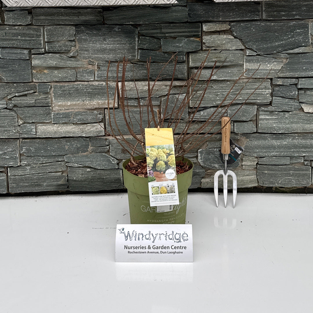 Decorative stone wall with a small table and chairs, featuring a product packaging labeled 'Windyridgel'.