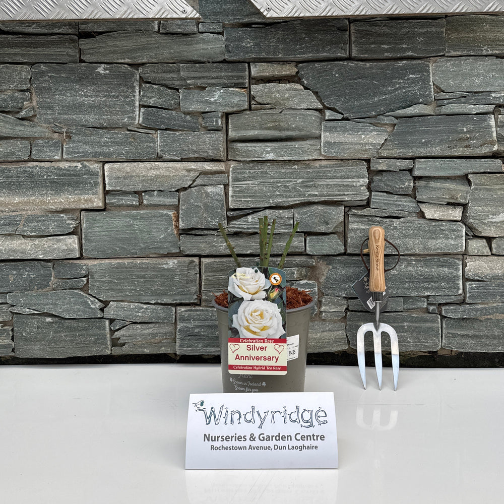 Decorative stone wall with flowers