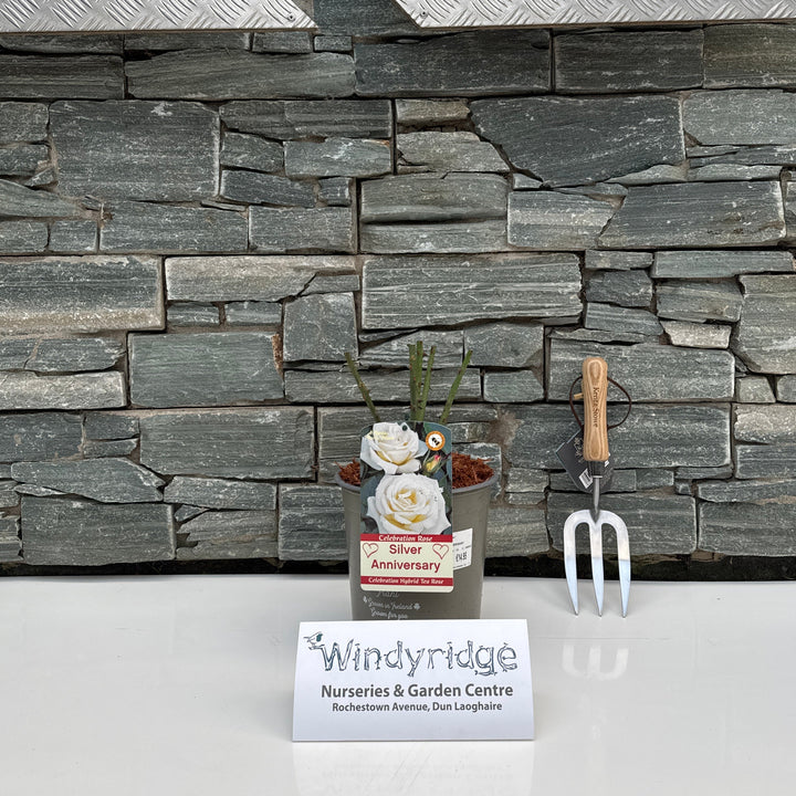 Decorative stone wall with flowers