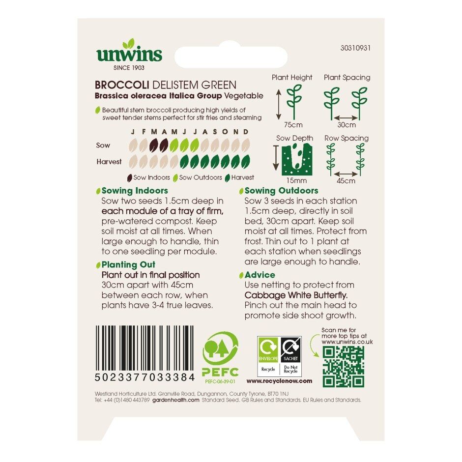 Broccoli Delistem Green - Seed Packets - Windyridge Garden Centre