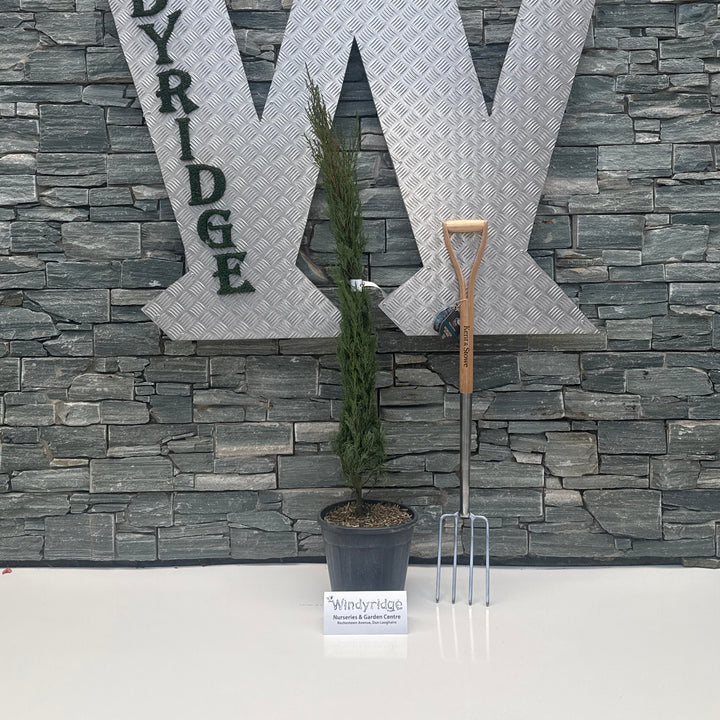 Large metallic letter 'W' with 'INDYRIDGE' on a stone wall background