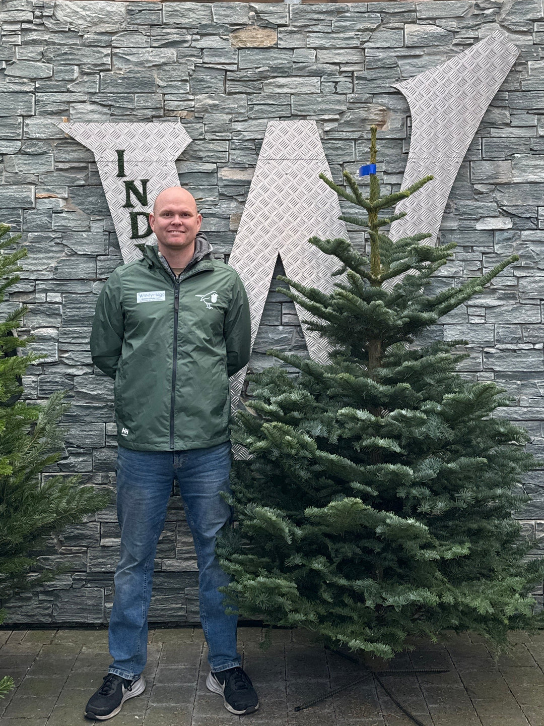 Real Christmas Tree Noblis Fir Blue 5.9Ft-6.7Ft (175-200Cm) - Christmas Trees - Windyridge Garden Centre