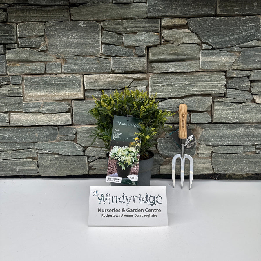 Decorative stone wall with gardening tools and a sign on a white background
