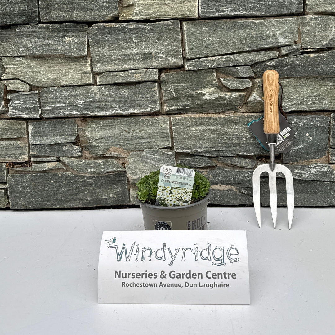 Decorative stone wall with gardening tools and a sign on a white background