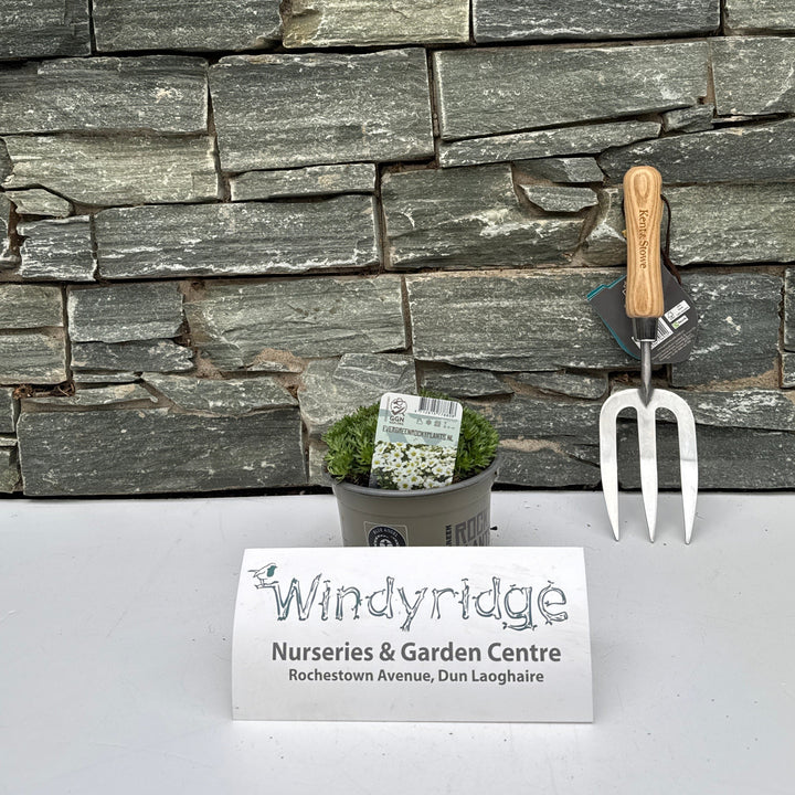 Decorative stone wall with gardening tools and a sign on a white background