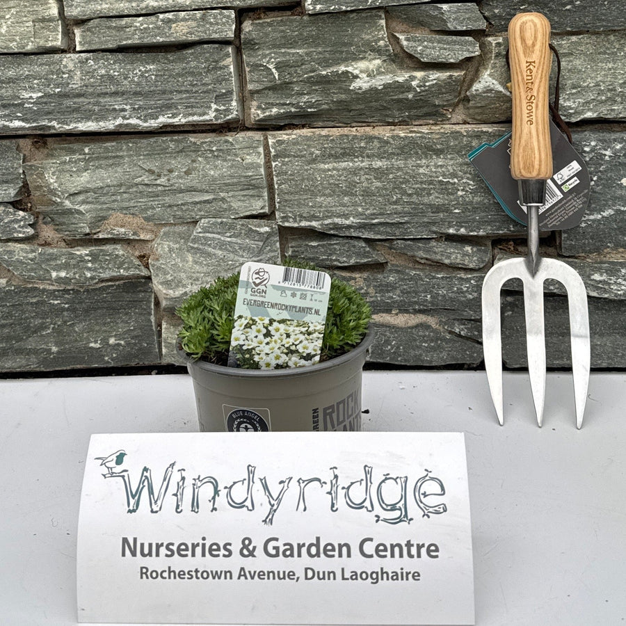 Decorative stone wall with gardening tools and a sign on a white background