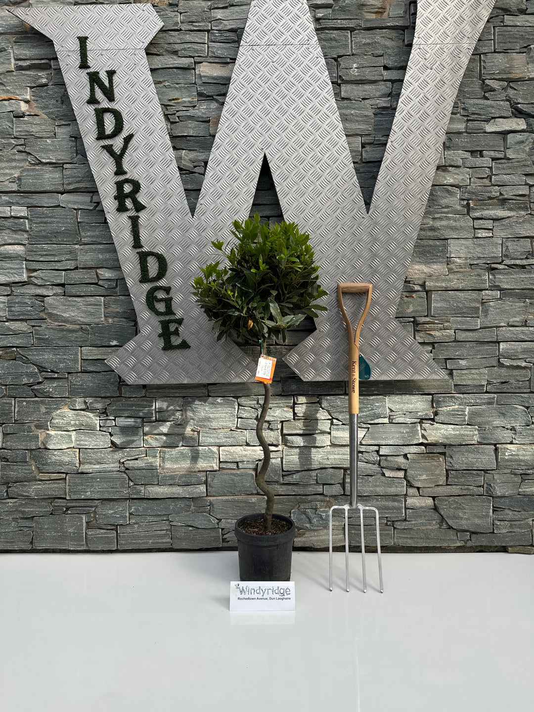 Bay Standard 1/2 Spiral Stem 35/40 Dia. pot 20cm