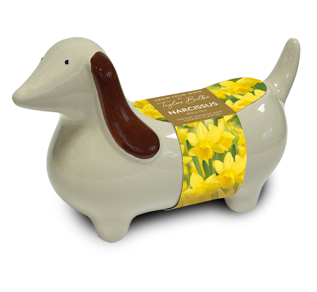 NOVELTY SAUSAGE DOG PLANTER 3