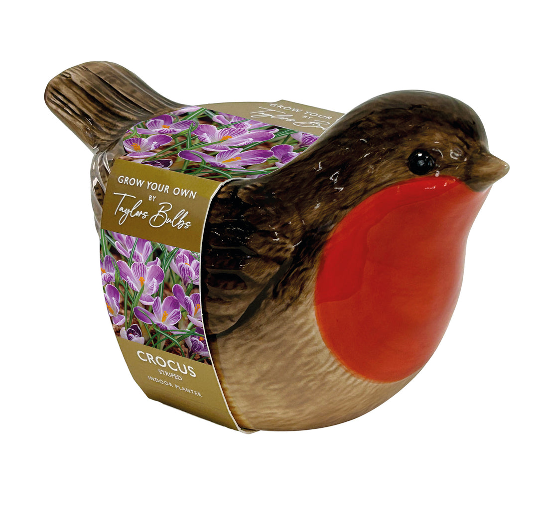 6 NOVELTY BLUE TIT PLANTER