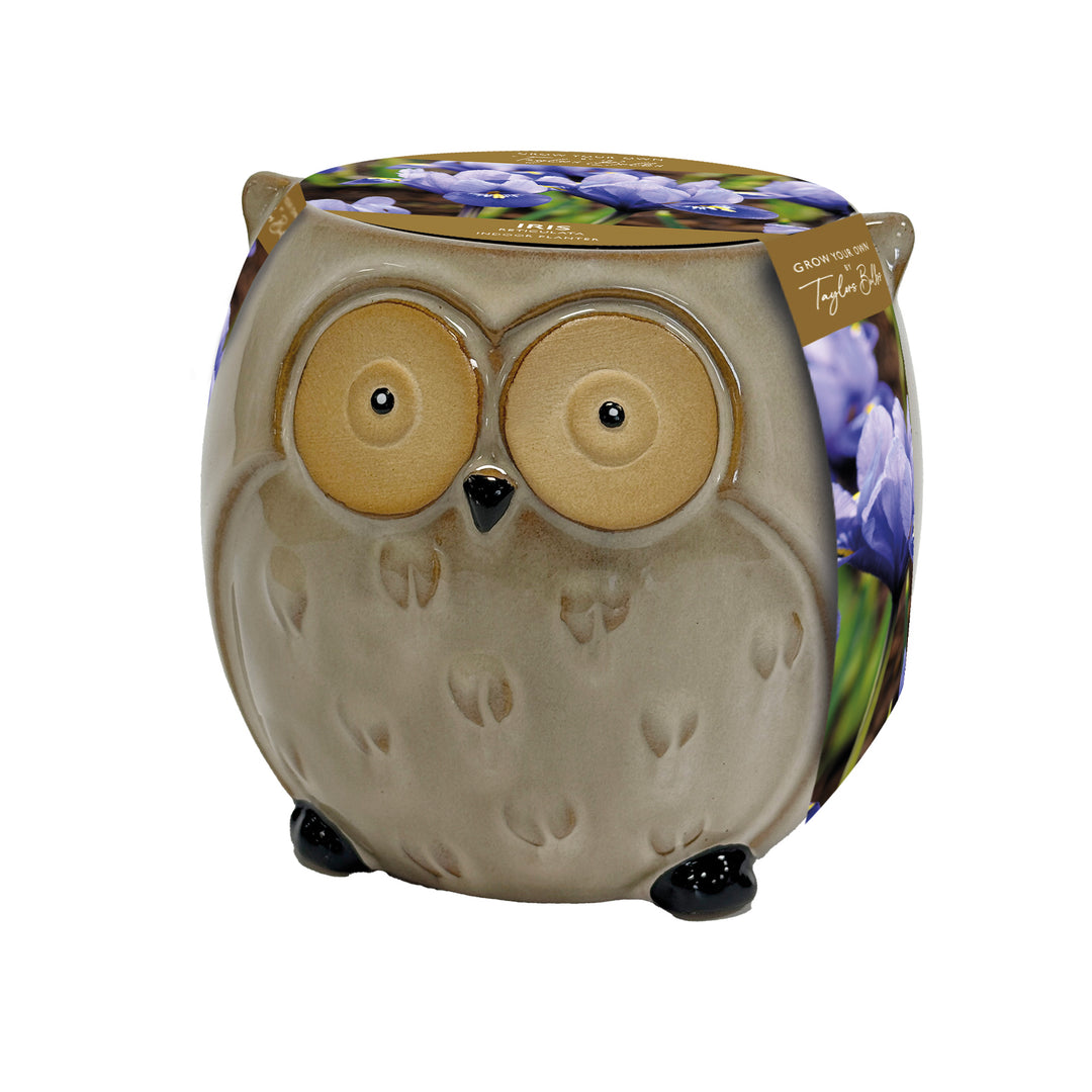 6  NOVELTY OWL PLANTER