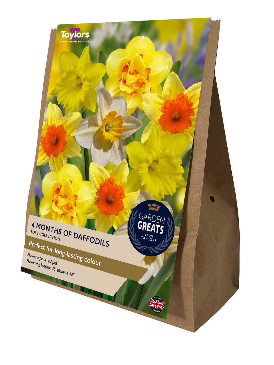20 4 MONTHS OF DAFFODILS COLLECTION
