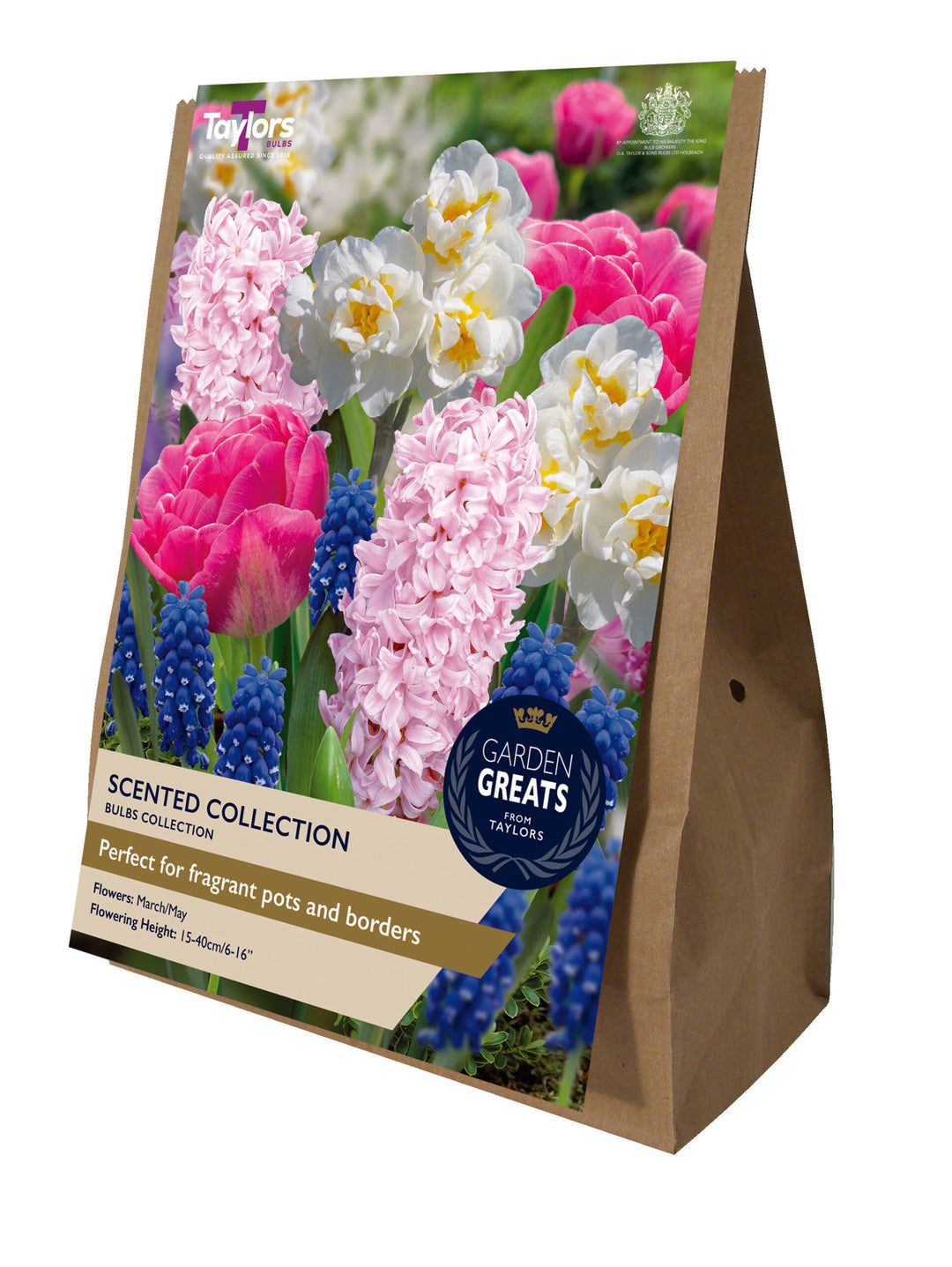35 SCENTED COLLECTION