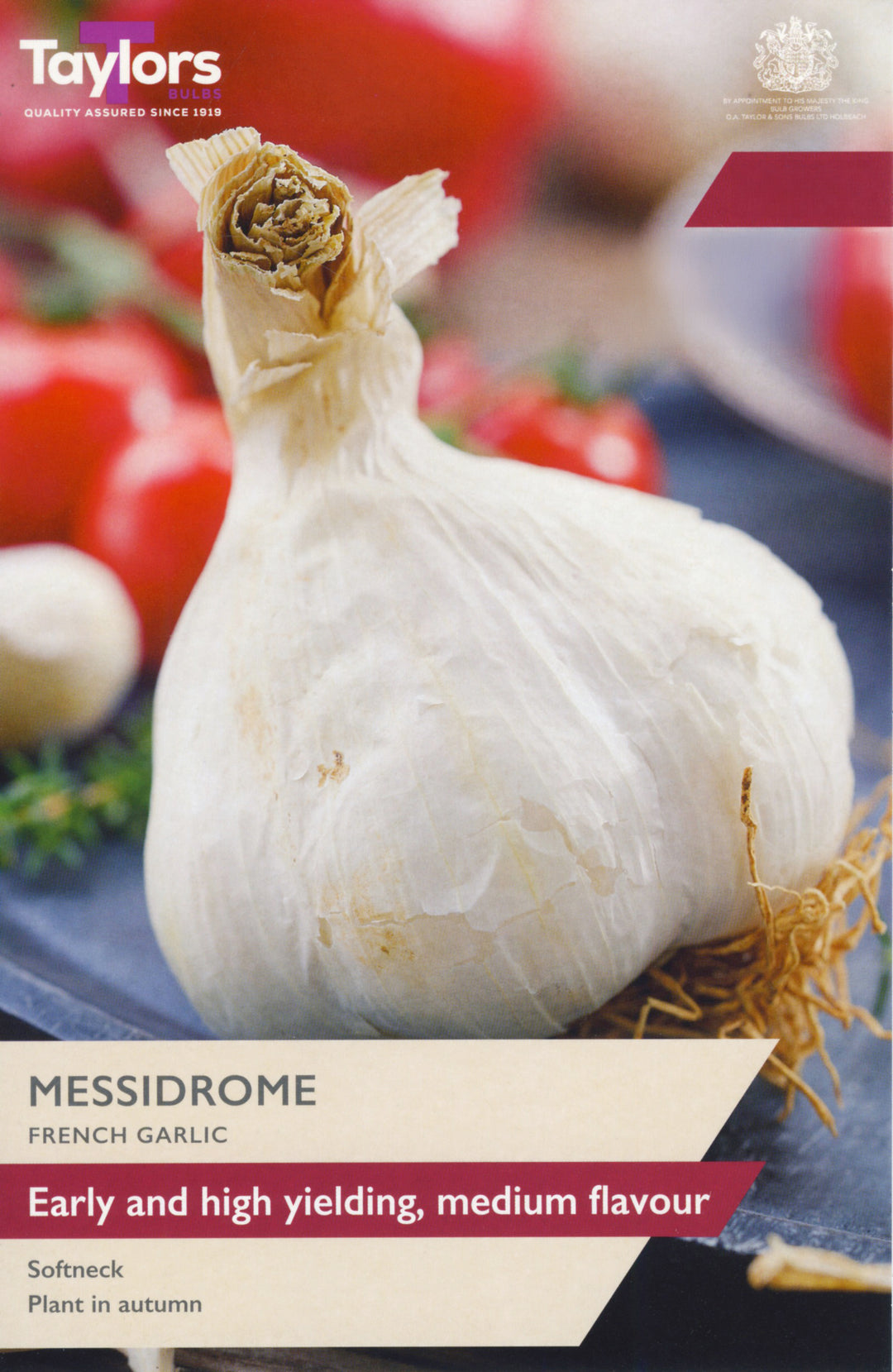 2 FRENCH GARLIC MESSIDROME