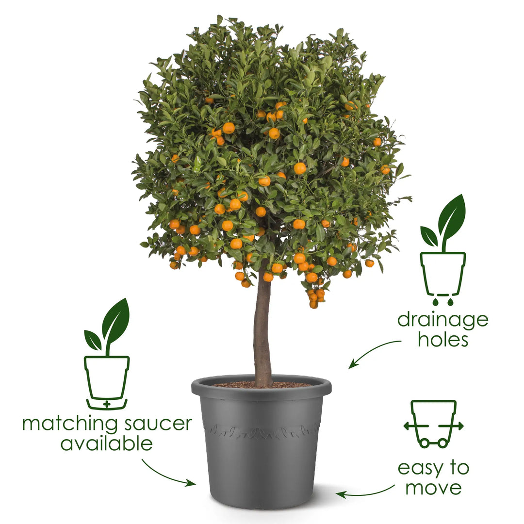 Algarve Cilindro Thyme Green Ø40cm