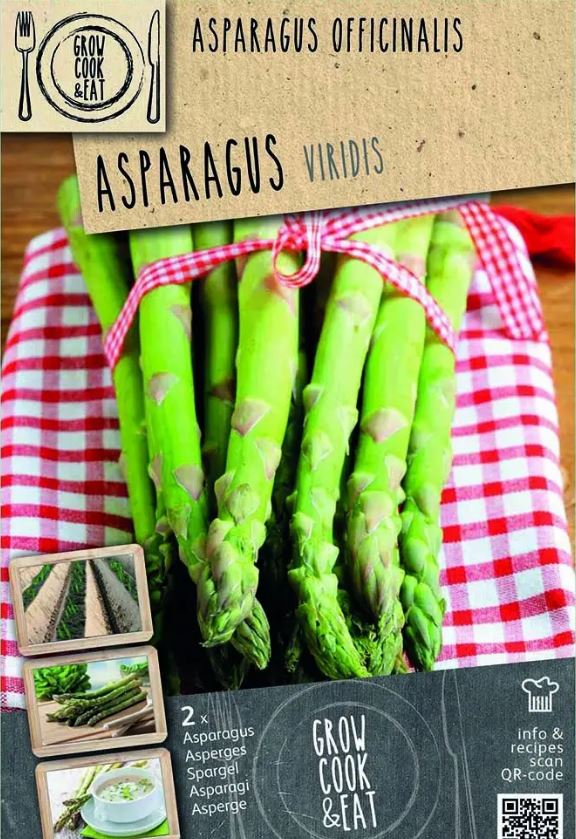 ASPARAGUS VIRIDIS  BIO x 1
