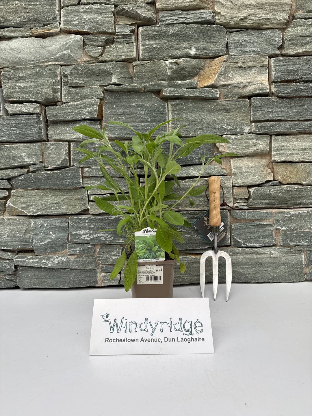 Sage Green