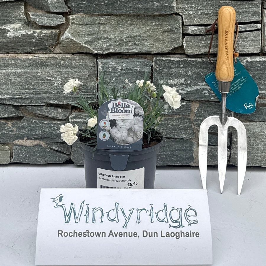 Decorative stone wall with a trowel and small plant, branded 'Windyridge'.