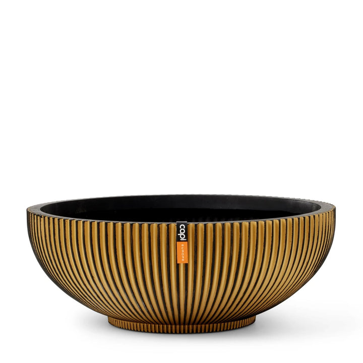 Bowl Groove Indoor Pot Ø40Cm H15Cm Black And Gold - Pots - Windyridge Garden Centre