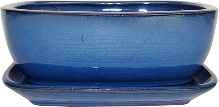 Bonsai Blue Pot 18Cm Oval - Pots - Windyridge Garden Centre