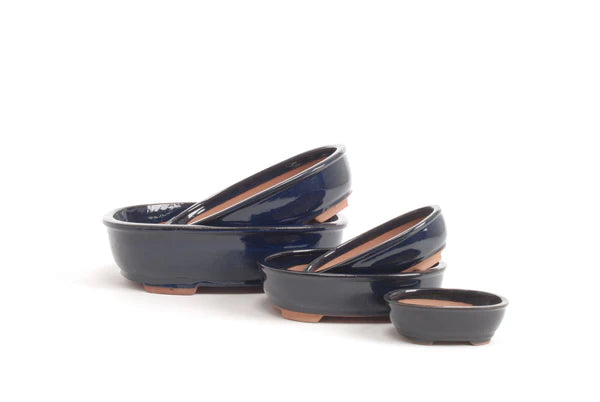 Bonsai Pot Oval Blue
