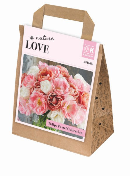 BOUQUET DOUBLE PASTEL TULIPA COLL x 25