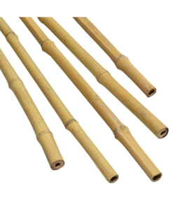 Gro-Sure Growers Bamboo 2M - Tools & Equipment - Windyridge Garden Centre