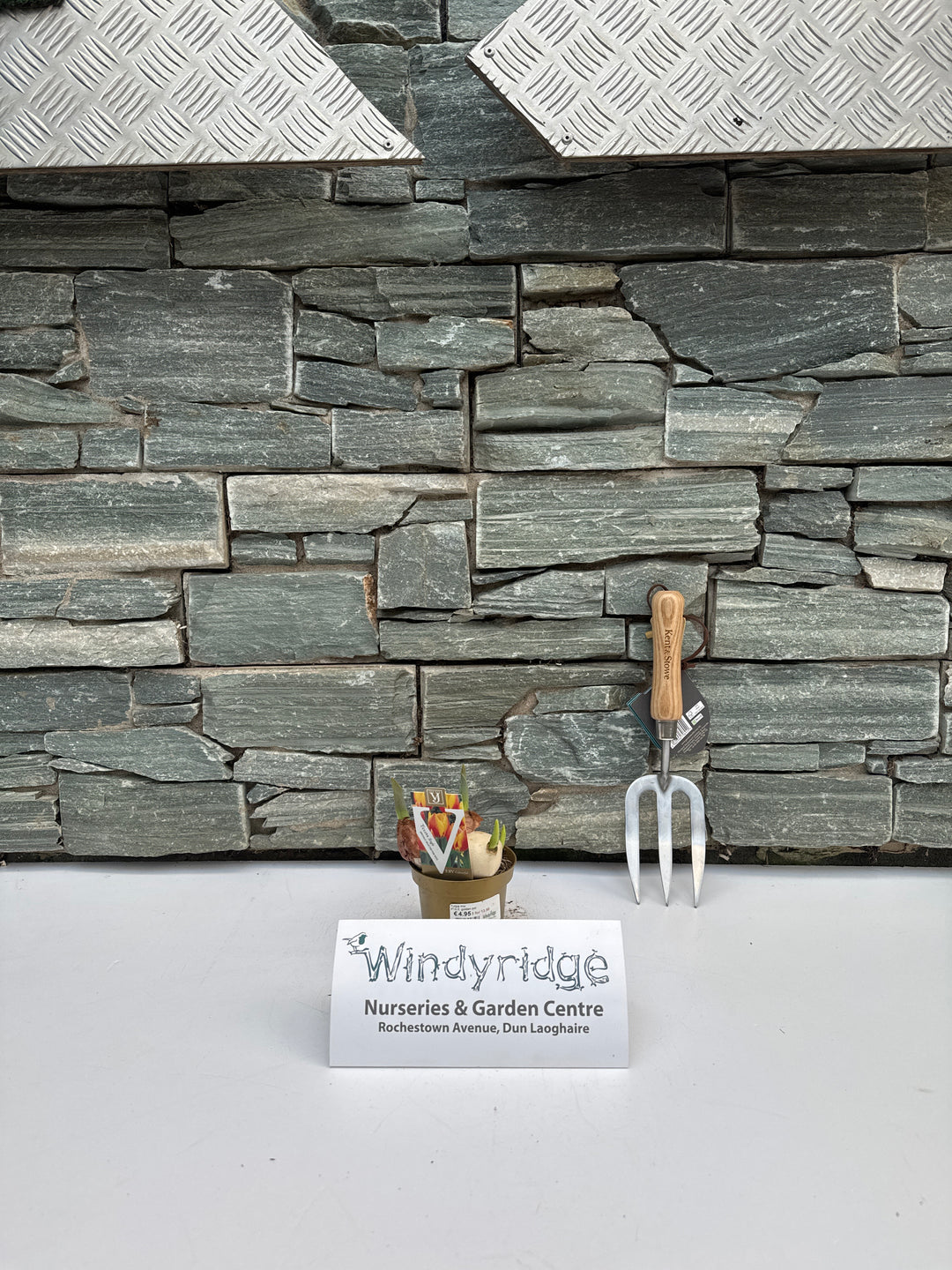 Tulipa mix (H&G)  P12