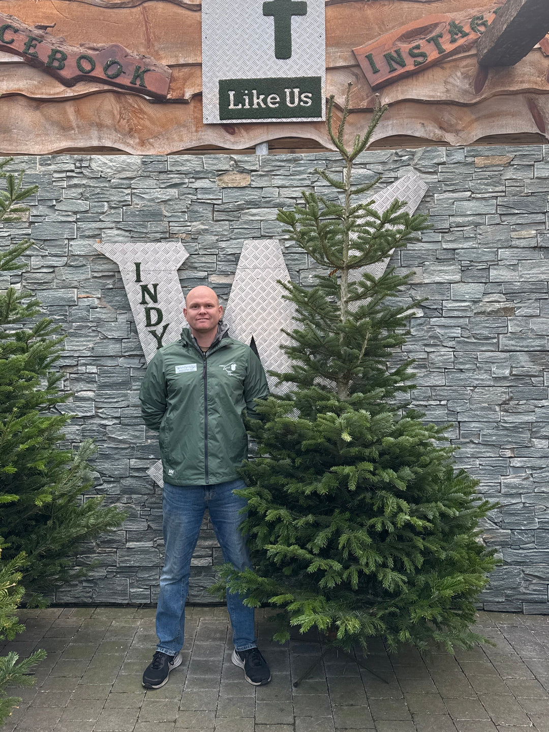 Real Christmas Tree Premium Nordman Fir Purple Tag 7.5ft-8.3ft (225-250cm)