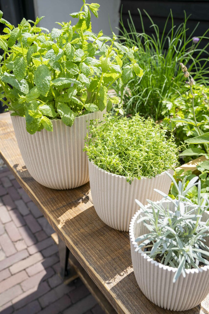 Planter Ball Groove Ø16.5 x 15cm sawdust white