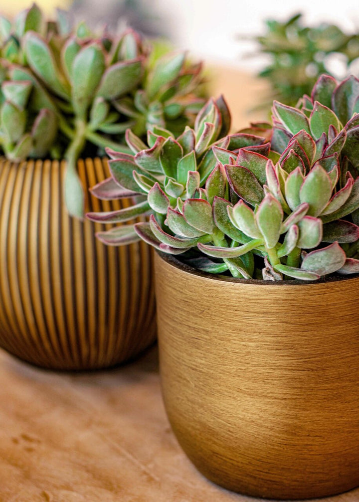 Planter ball Retro Ø8 x 6 gold