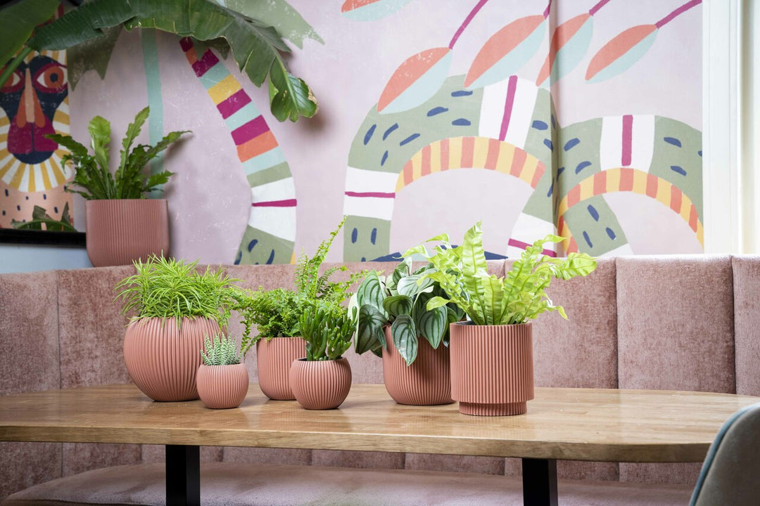 Planter ball Groove Ø17 x 15 Pink