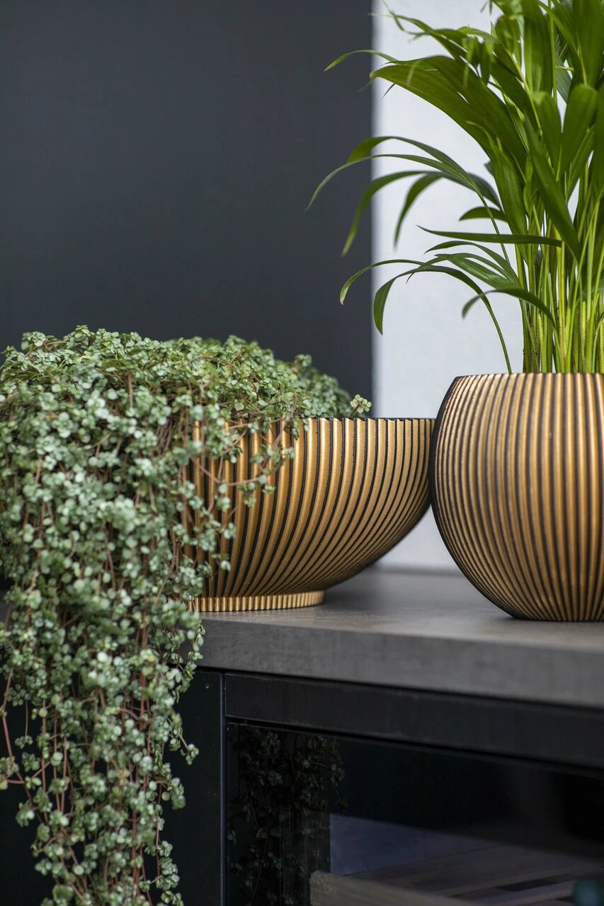 Bowl Groove Indoor Pot Ø40Cm H15Cm Black And Gold - Pots - Windyridge Garden Centre