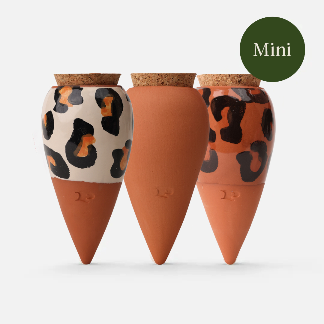 Trio Of Mini Ollas - The Graou - Tools & Equipment - Windyridge Garden Centre