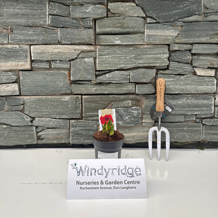 Decorative stone wall with a garden trowel, plant, and Windyridge Nurseries & Garden Centre sign.