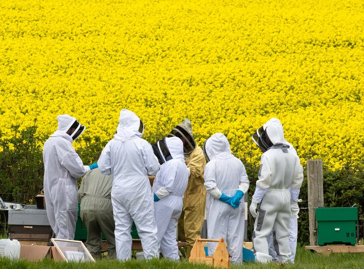 OpenHive x Windyridge Beekeeping Experience - 29th June 2024